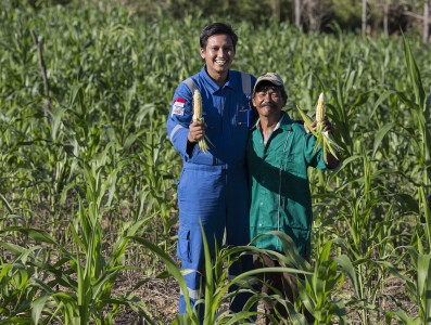 Organic System of Rice Intensification (Organic SRI): The Innovation