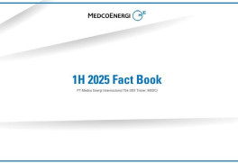 Fact Book 1H25