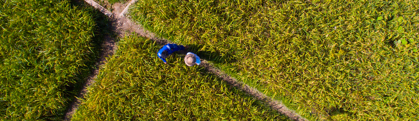 Social and Communities